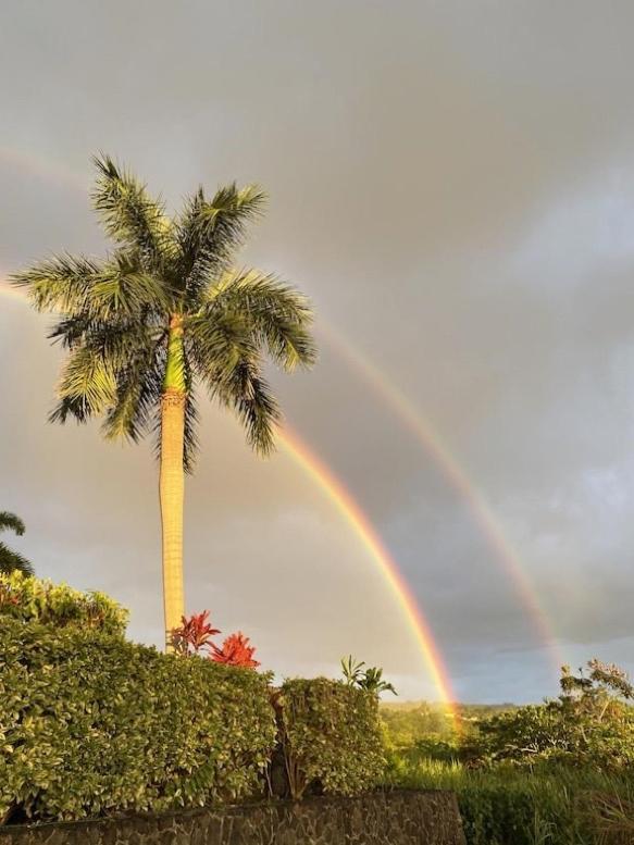 Newly Renovated Condo With Sup Paddle Boards And Golf Clubs Included Kailua-Kona Luaran gambar